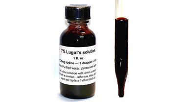 Lugol Solüsyonu
