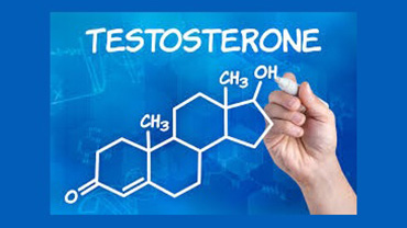 Testosteron Propionat Pomadı
